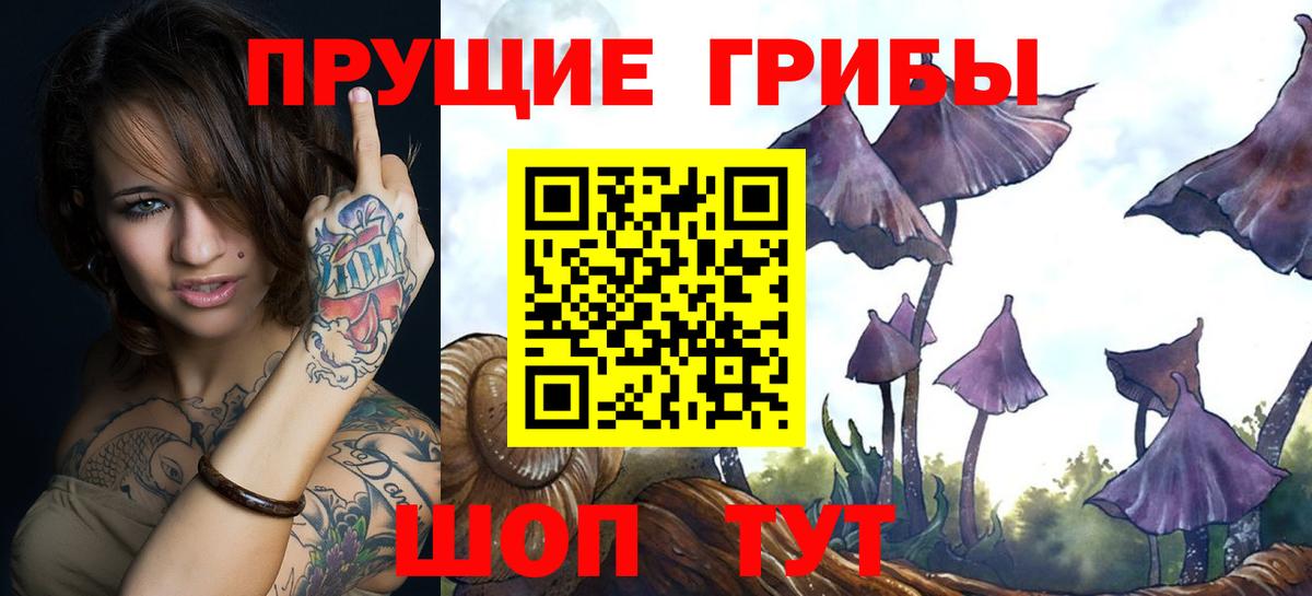 Псилоцибиновые грибы MAGIC MUSHROOMS Губкинский
